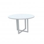 Mesa redonda reunião PE25